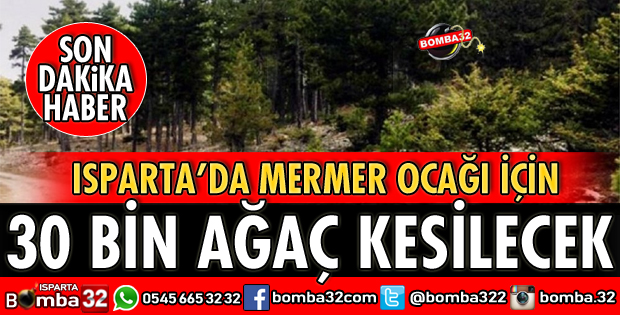 MERMER OCAĞI İÇİN 30 BİN AĞAÇ KESİLECEK