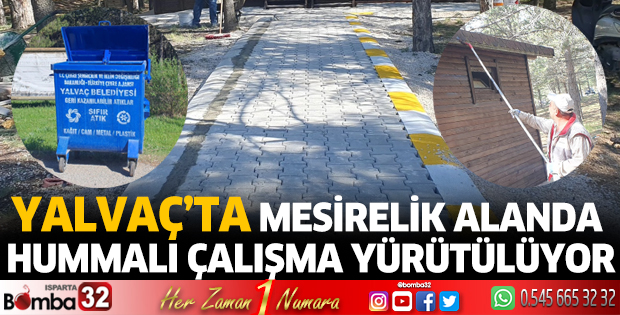 Mesirelik alanda hummalı çalışma yürütülüyor