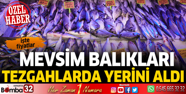 Mevsim balıkları tezgahlarda yerini aldı