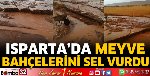 Meyve bahçelerini sel vurdu 