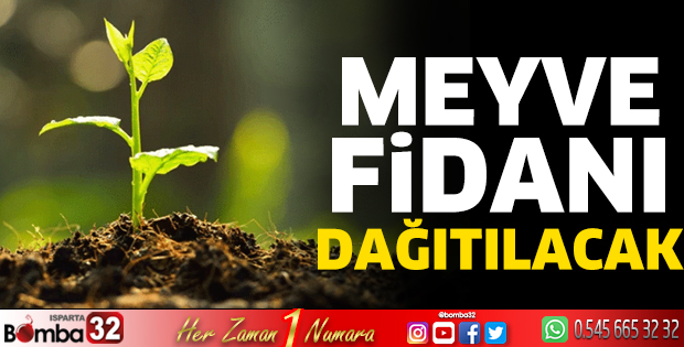 Meyve fidanı dağıtılacak