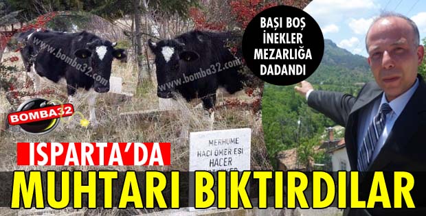 MEZARLIĞA DADANDILAR!
