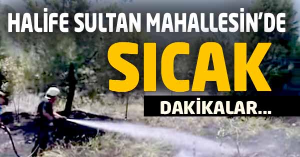 MEZARLIKTA ÇIKAN YANGIN KORKUTTU 