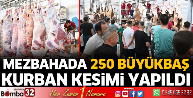 Mezbahada 250 büyükbaş kurban kesimi yapıldı