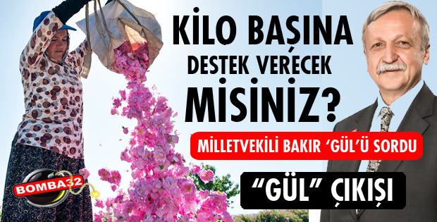 MİLLETVEKİLİ BAKIR'DAN GÜL ÇIKIŞI!