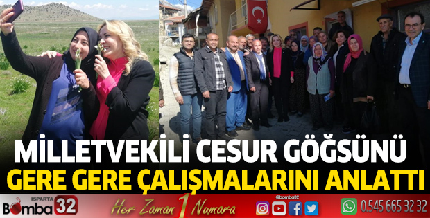Milletvekili Cesur çalışmalarını anlattı