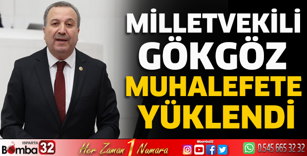 Milletvekili Gökgöz muhalefete yüklendi