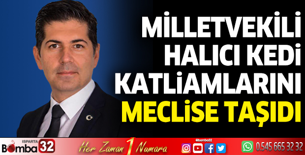 Milletvekili Halıcı kedi katliamlarını meclise taşıdı