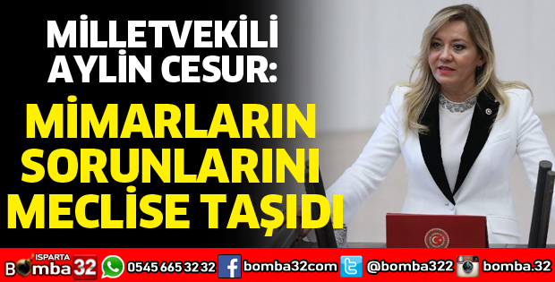 MİMARLARIN SORUNLARINI MECLİSE TAŞIDI