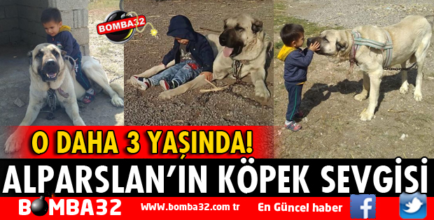 MİNİK ALPARSLAN'IN KÖPEK SEVGİSİ