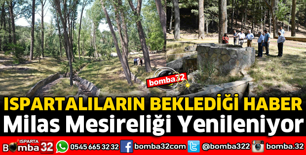 MİLAS MESİRELİĞİ YENİLENİYOR