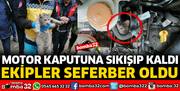 MOTOR KAPUTUNA SIKIŞAN KEDİYİ İTFAİYE EKİPLERİ KURTARDI