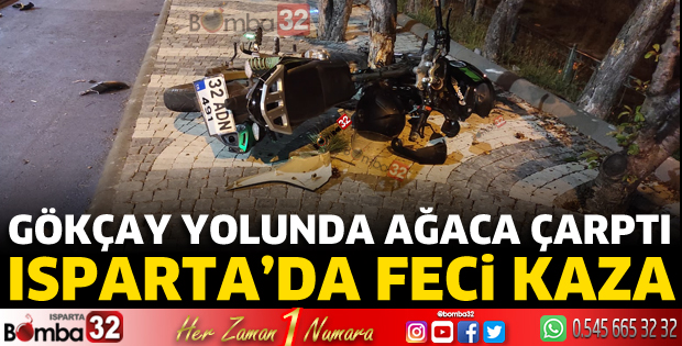 Motosiklet ağaca çarptı 