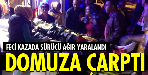 MOTOSİKLET DOMUZA ÇARPTI