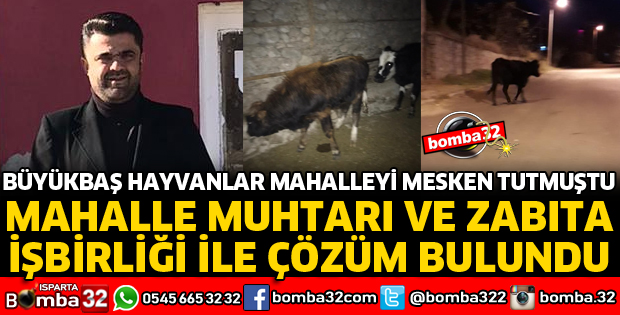 MUHTAR VE ZABITA İŞBİRLİĞİNDE ÇÖZÜM BULUNDU