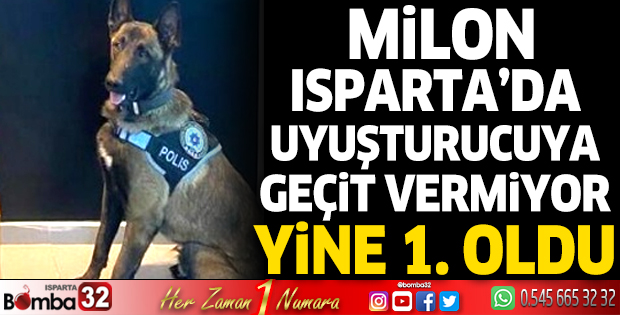 Narkotik köpeği Milon yine 1 numara
