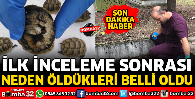 NEDEN ÖLDÜKLERİ BELLİ OLDU