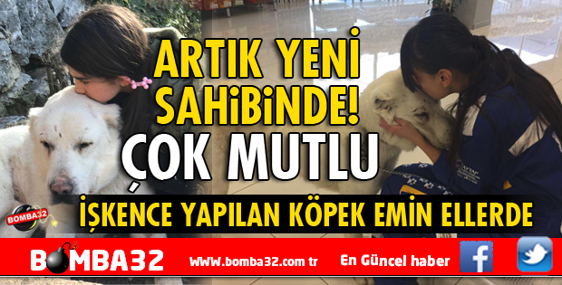 ISPARTA'DA O KÖPEK ARTIK ÇOK MUTLU!