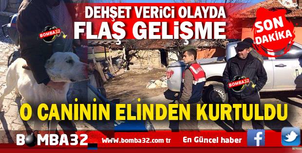 O KÖPEK KORUMA ALTINA ALINDI