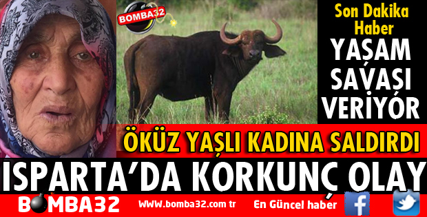 ÖKÜZÜN SALDIRDIĞI YAŞLI KADIN YAŞAM SAVAŞI VERİYOR
