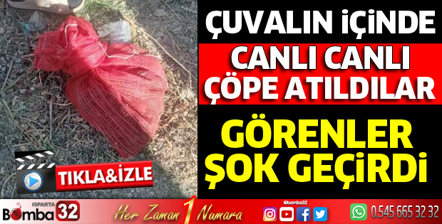 Ölüme terk edildiler
