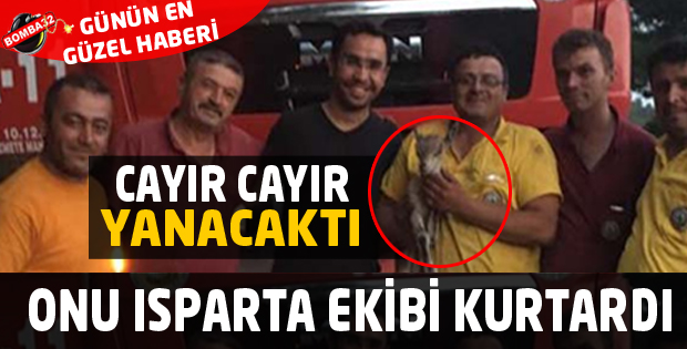 ONU ISPARTA EKİBİ KURTARDI