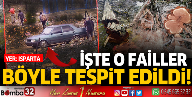 Orman failleri böyle tespit edildi