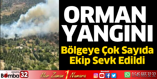 Orman yangını