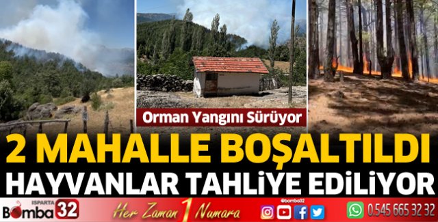 Orman yangını sürüyor