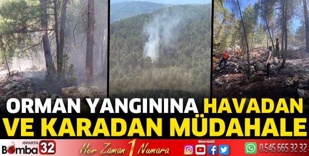 Orman yangınına havadan ve karadan müdahale