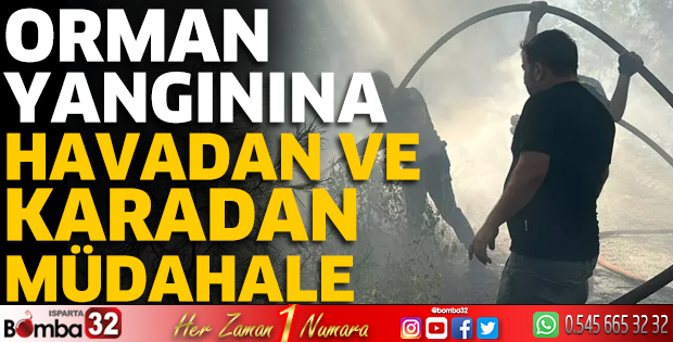 Orman yangınına havadan ve karadan müdahale