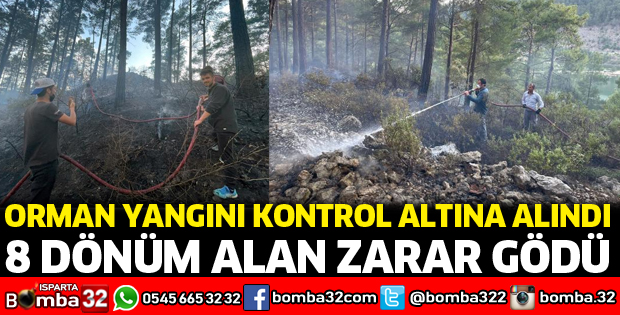 Orman yangınında 8 dönüm alan zarar gördü
