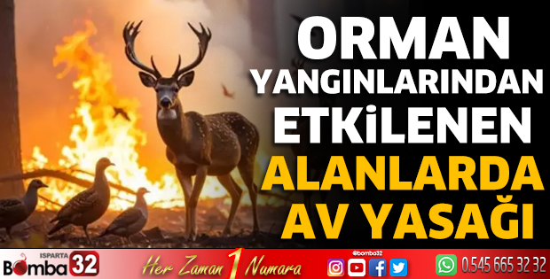 Orman yangınlarından etkilenen alanlarda av yasağı