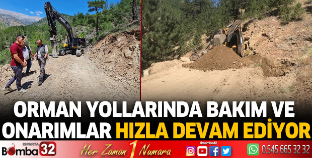 Orman yollarında bakım ve onarımlar hızla devam ediyor