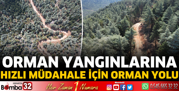 Orman yolu yapılıyor