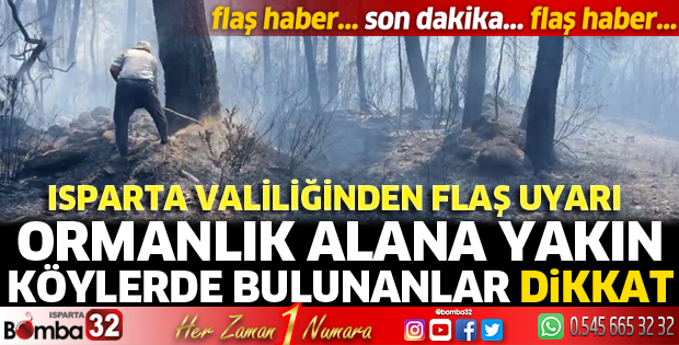 Ormanlık alana yakın bölgelerde yaşayanlar dikkat