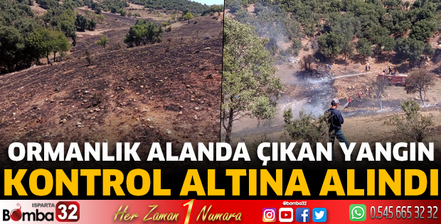 Ormanlık alanda çıkan yangın kontrol altına alındı
