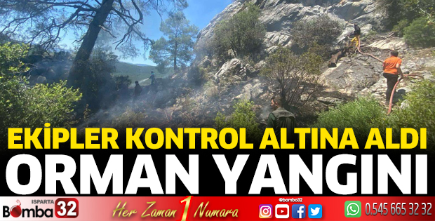 Ormanlık alanda yangın