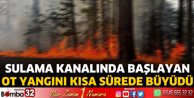Ot yangını kısa sürede büyüdü 