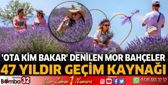 'Ota kim bakar' denilen mor bahçeler, 47 yıldır geçim kaynağı