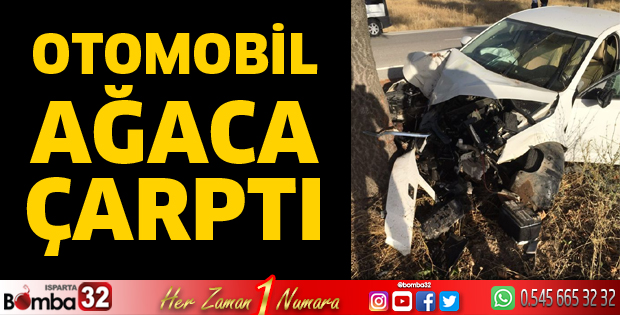 Otomobil ağaca çarptı