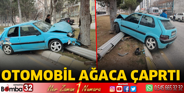 Otomobil ağaca çarptı