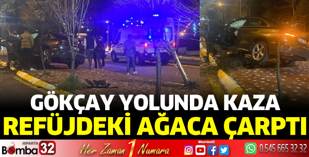 Otomobil ağaca çarptı