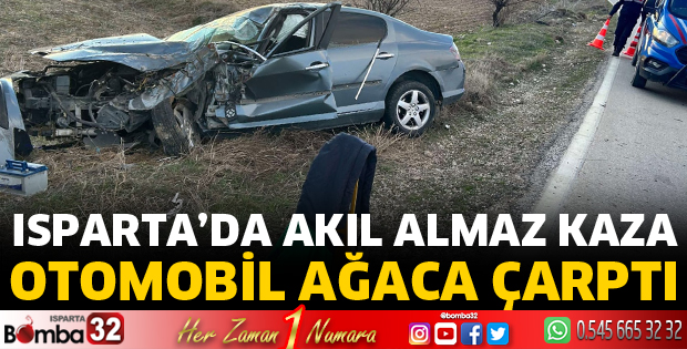 Otomobil ağaca çarptı
