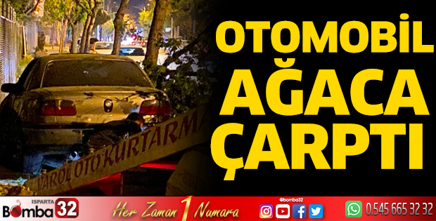 Otomobil ağaca çarptı