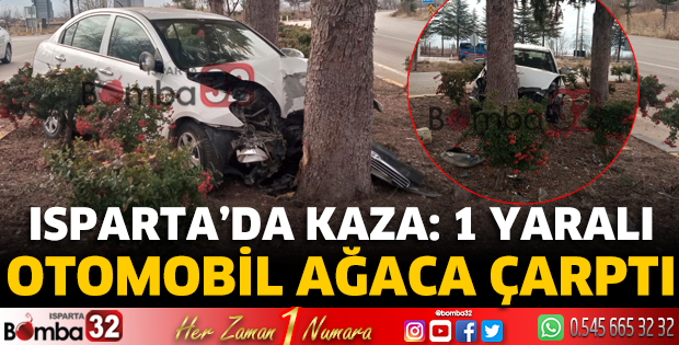 Otomobil ağaca çarptı
