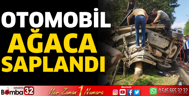 Otomobil ağaca saplandı  