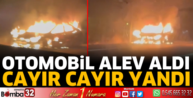 Otomobil alev aldı