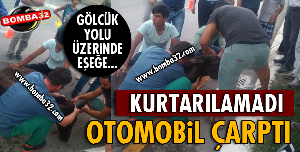 OTOMOBİL EŞEĞE ÇARPTI