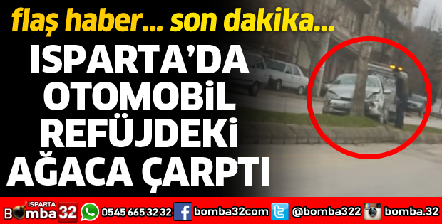 OTOMOBİL REFÜJDEKİ AĞACA ÇARPTI